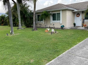 Dominique M.'s Lawn Care service result