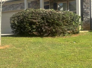 Bush Trimming by Markeiven Ogburn for Mitch M. in Hampton, GA