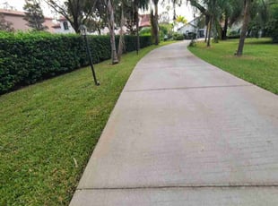 Jamie W.'s Lawn Mowing Service service result