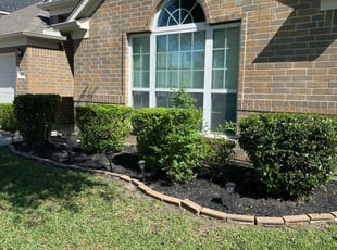 Bush Trimming by David Hobson for Cameron T. in Conroe, TX