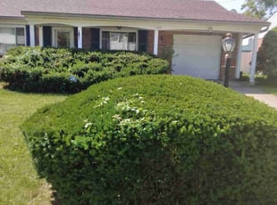 Bush Trimming by Terrance North for Madelaine S. in Cincinnati, OH