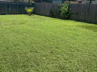 Claudette C.'s Lawn Care service result