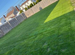 Annie L.'s Lawn Maintenance service result