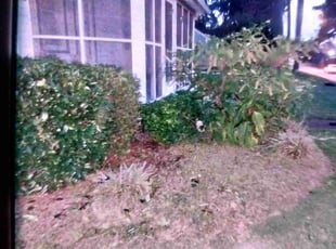 Weeding by Charlie Burns for Kenneth H. in Portsmouth, VA