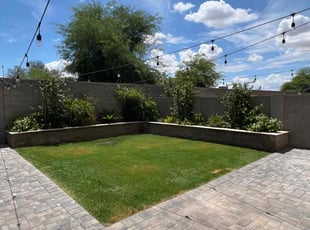 Bush Trimming by Jose Castro for Matthew K. in Chandler, AZ