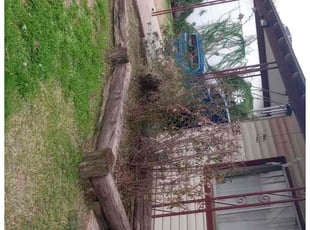 Cleanups by Sergio Laurean for Bryan R. in Mesa, AZ