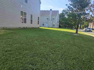 Tammy M.'s Lawn Service service result