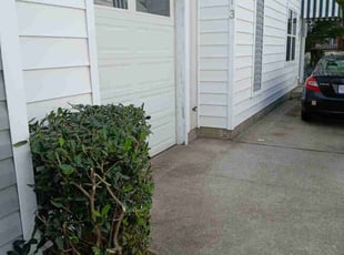 Bush Trimming by Stanley Lassiter for Jordan b. in Virginia Beach, VA