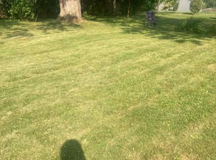 Rex C.'s Yard Cutting service result