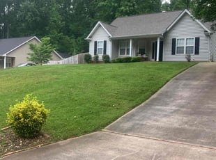 Alex R.'s Grass Cutting service result