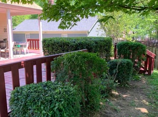 Bush Trimming by Billy Webb for Elizabeth S. in Charlotte, NC