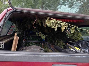 Cleanups by David Gallaway for Alyssa B. in Saint Paul, MN