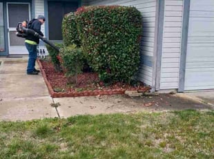 Bush Trimming by Ajai Narayan for Dennis T. in Sacramento, CA