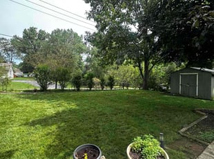 Ernest H.'s Yard Cutting service result