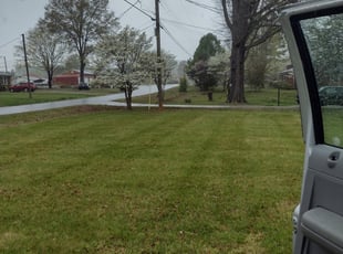Bush Trimming by Joshua Simmering for Ben W. in Greensboro, NC