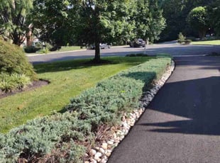 Mitchell M.'s Grass Cutting service result