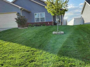 Beth T.'s Lawn Service service result