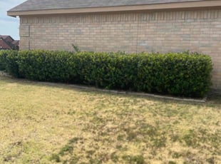 Bush Trimming by Maurice Washington for Cameron a. in Grand Prairie, TX