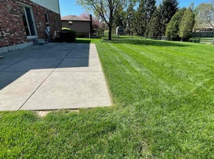Shanora K.'s Lawn Mowing service result