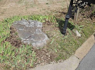Bush Trimming by Gabriel Greene for R Jennifer P. in Smyrna, TN