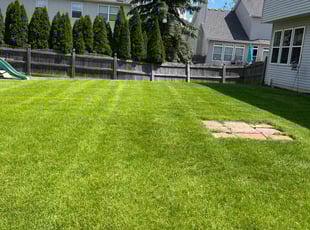 Deno D.'s Yard Cutting service result