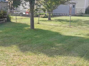 Tene T.'s Lawn Mowing Service service result