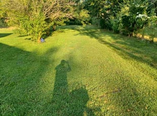 Hannah Y.'s Yard Cutting service result