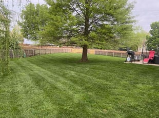 Jim Y.'s Lawn Care service result