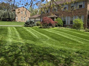 dottie c.'s Grass Cutting service result