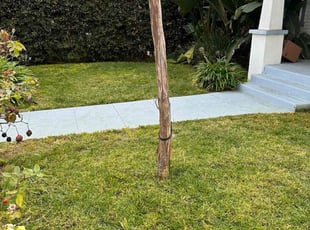 Kathryn H.'s Lawn Mowing service result