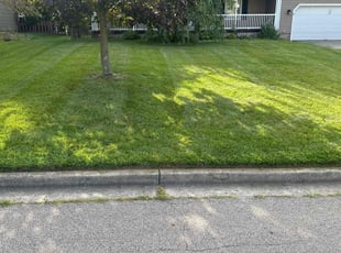 Dwayne M.'s Yard Cutting service result