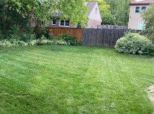 Tim M.'s Lawn Mowing Service service result