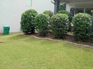 Bush Trimming by Montgomery Roberts for Emily P. in Canton, GA