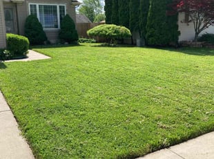 Bush Trimming by Nicholas Tennant for Christian B. in Romulus, MI