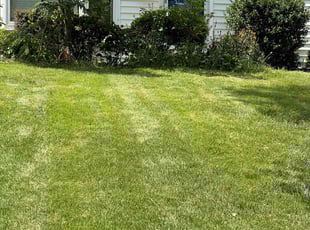 John E.'s Lawn Service service result