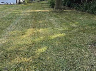 Kay m.'s Lawn Maintenance service result