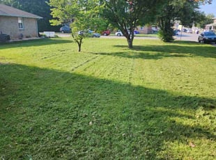 Cinnamon Z.'s Lawn Mowing service result