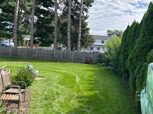 Vantanett K.'s Lawn Care service result
