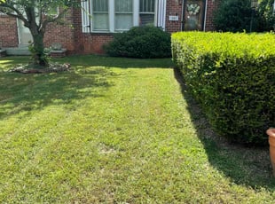 RAGSDALE, J.'s Lawn Care service result