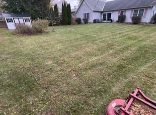 Rob D.'s Lawn Care service result