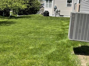 arnold r.'s Lawn Mowing Service service result