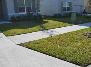Vida S.'s Lawn Care service result