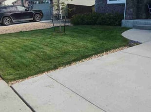 Hong N.'s Lawn Maintenance service result