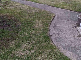 Jason S.'s Lawn Mowing service result