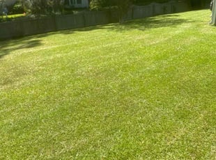 Crystal M.'s Lawn Mowing Service service result