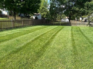 Ed S.'s Grass Cutting service result
