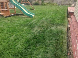 David C.'s Lawn Service service result