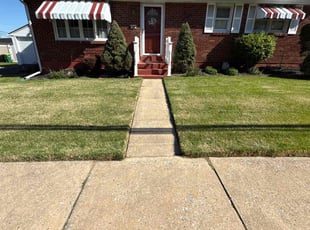 "Sam N.'s Lawn Mowing service result