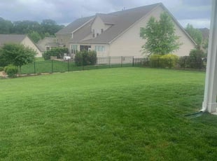 Nanette S.'s Lawn Maintenance service result