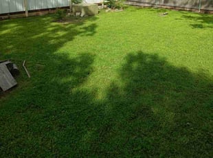 mahesh s.'s Lawn Mowing service result